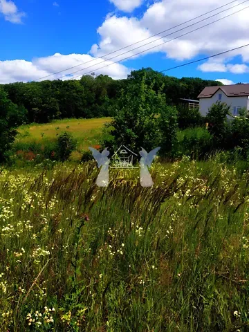 Продажа земельного участка  площадь 207 сот Зелена вулиця  - изображение 7