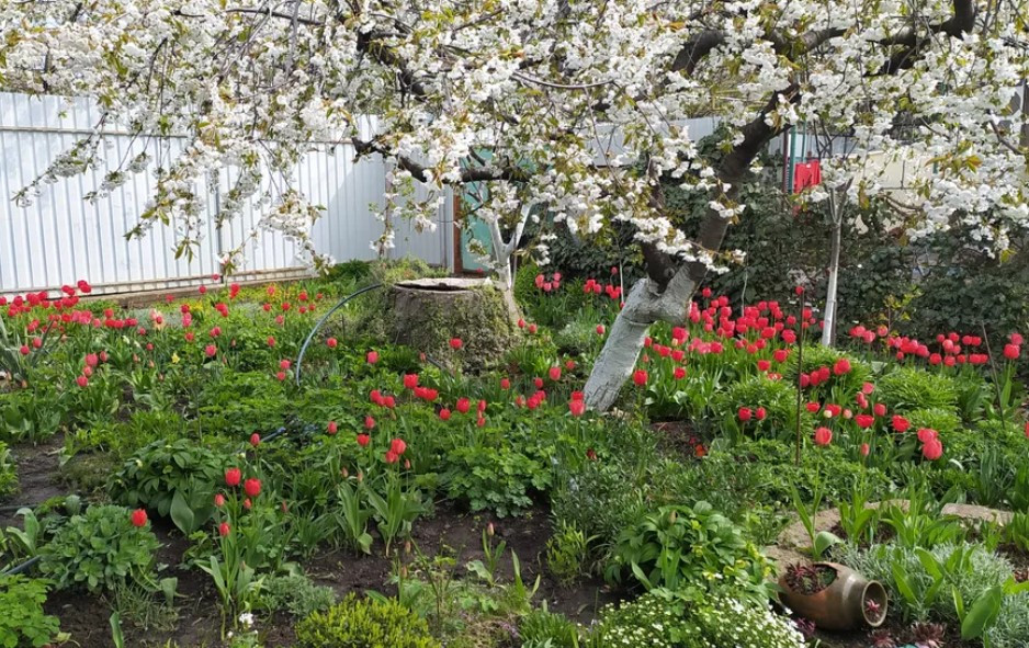 Продам дом на Костанди Одеса - фото 14