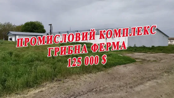 Продаж Виробниче або промислове приміщення площа 3070 кв.м 1-й поверх на MMGR+9F, Петриківський район, Дніпропетровська область, 51830 Лобойківка