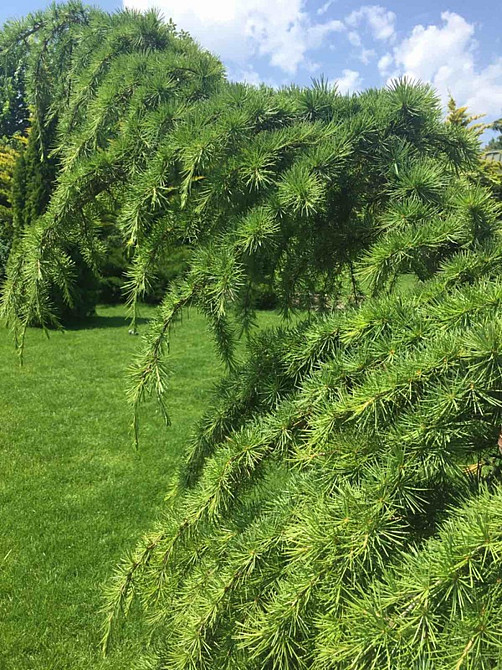 Оренда Будинок Одесса - изображение 16