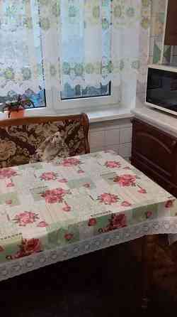 Оренда Квартира 2-кімнатна, 9/9 поверх на ул. Академика Булаховского, 28 Киев