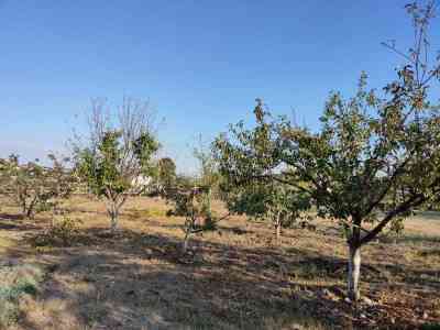 Продаж земельної ділянки 0.1 соток на ул. Виноградна, 2а Нерубайське