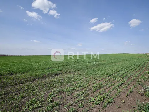 For sale land plot  area 13.6 ares   - photo 4