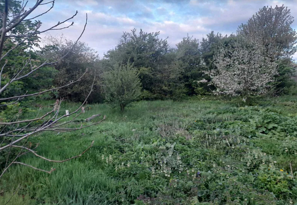 Продаж земельної ділянки 12 соток Великая Березовица - изображение 1