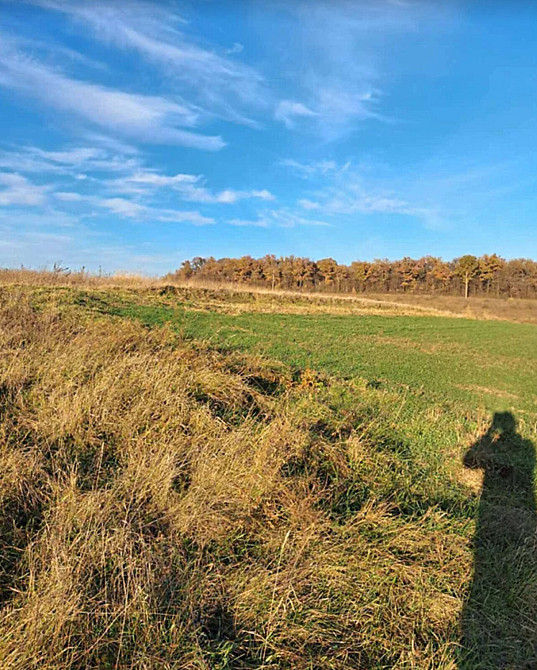 Продаж земельної ділянки 32 соток Baikivtsi - photo 3