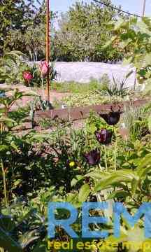 Продаж земельної ділянки 6 соток на ул. Родниковая-3 (ул. (ОСК "Чайка" СК "Родничок)), 10 Алтестове