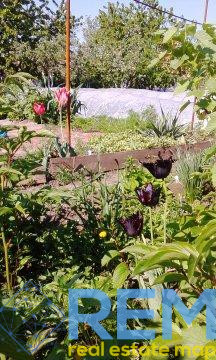 Продаж земельної ділянки 0.1 соток на ул. Родниковая-3 (ул. (ОСК "Чайка" СК "Родничок)), 10 Алтестове - фото 1