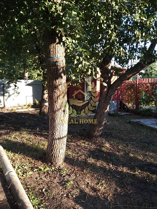 Продам дачу біля річки, с. Осещина Осещина - изображение 4