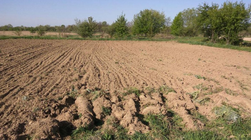 Продаж земельної ділянки 10 соток  - фото 2