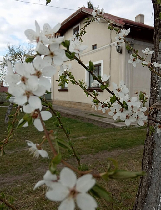 Продаж будинку у В.Березовиця Velikaya Berezovica - photo 3