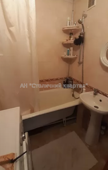 Продаж Будинок 1-кімнатний на Прирічна вул., 17В Київ - фото 7