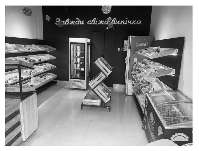 For sale Separate Building / Part Of Building area 910 sq.m  at мукачево Mukacheve - photo 3