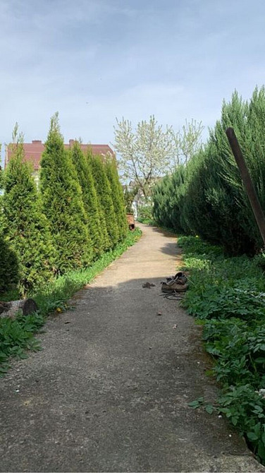 Продаж Будинок на Степана Бандери, 3 Rozhniativ - photo 5