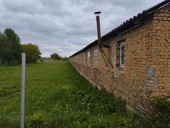 Продаж приміщення вільного призначення на Молодіжна вул., 1а поверх - 1/1 Плоске (Козивський район)