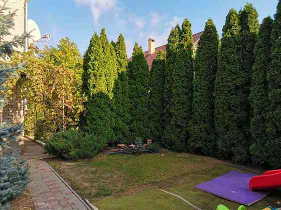 Продам кирпичный дом Червоный Хутор Лиманка