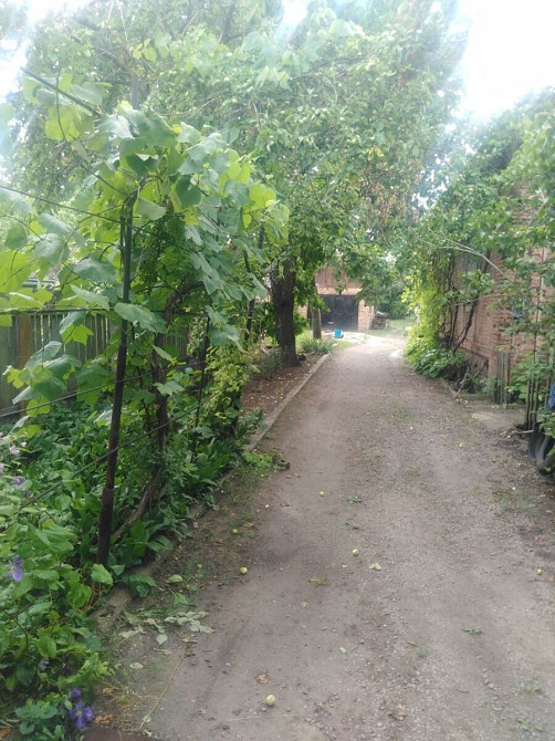 Продам добротні пів. будинку 107кв Кропивницький - фото 4