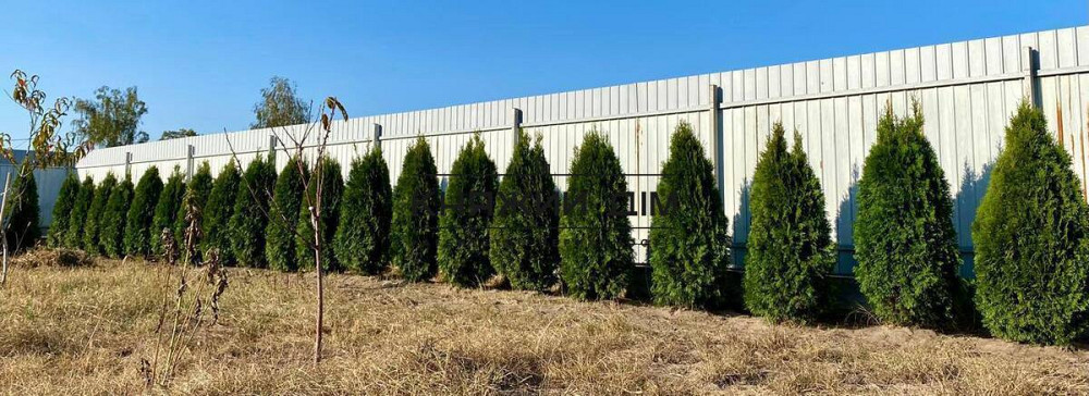 БЕЗ КОМІСІЇ! Продаж будинку 250 м2, 25 сотки, с. Здвижівка, Бучанський р-н, 35 км від Києва. № 2211779  - фото 7