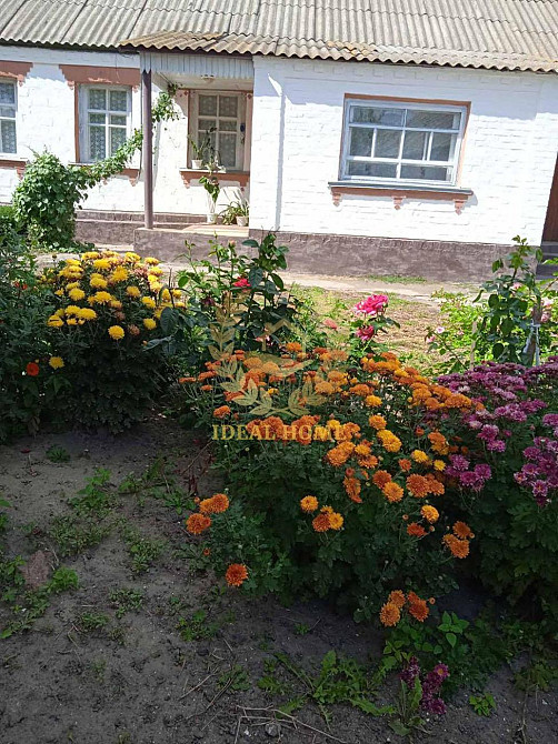 Продам будинок у Житних Горах  - фото 1