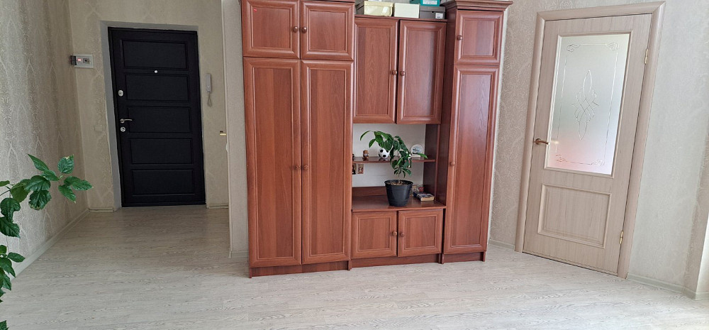 Продам 1-квартиру с ремонтом  на пос.Котовского Крижанівка (Комінтернівський район) - фото 3