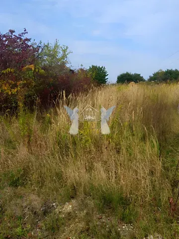 Продажа земельного участка  площадь 6.3 сот Яблунева вулиця  - изображение 1