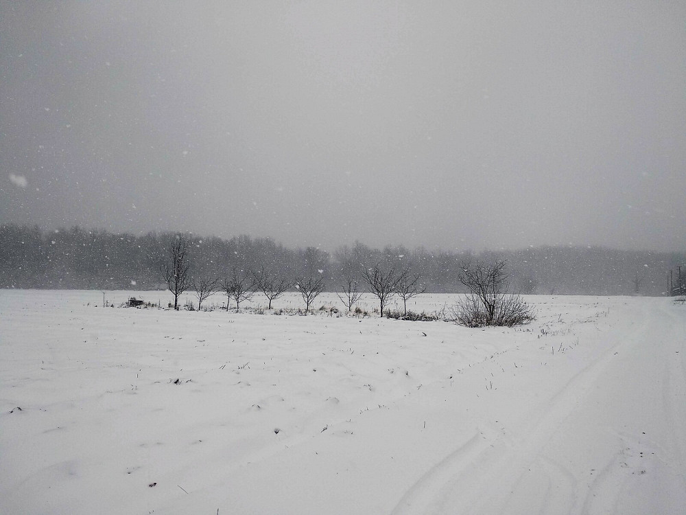 Продаж земельної ділянки 59 соток на Богдана Хмельницького Klubivtsi - photo 4