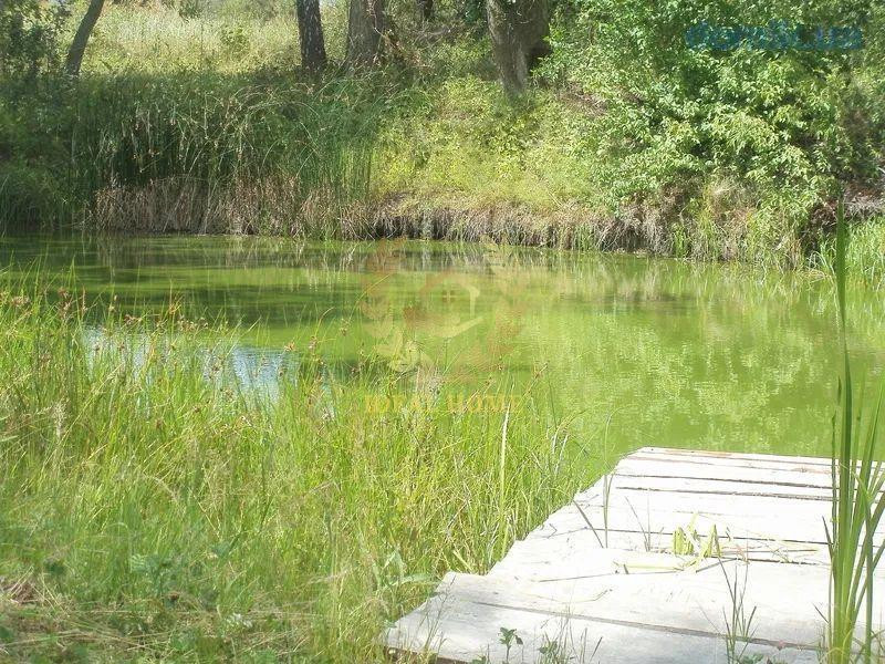 Продаж будинка в Бориспільскому р-оні в с. Сеньківка Сеньківка - фото 12