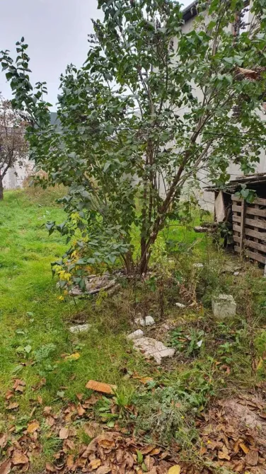 Продаж земельної ділянки Для будівництва приватного житлового будинку площа 4.2 сот Любашовская Одеса - фото 14