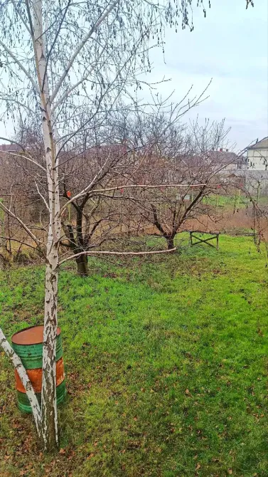 For sale 2-storey House with land 20 ares 190 sq.m 4 rooms at Потёмкина Fontanka - photo 8