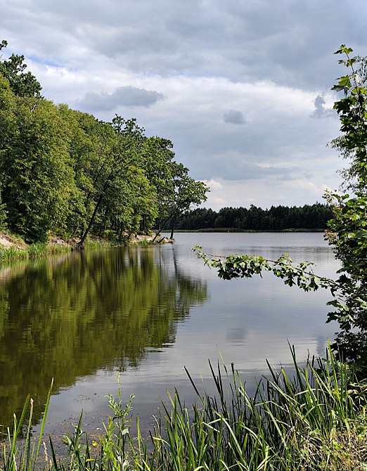 Продаж земельної ділянки 49 соток на Перлявка Zhytomyr - photo 1