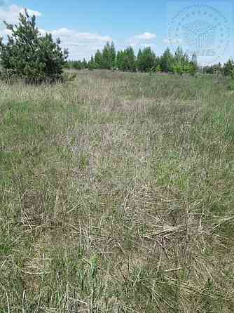 Продаж земельної ділянки 9 соток на Космічна вул., 4 Blystavytsia