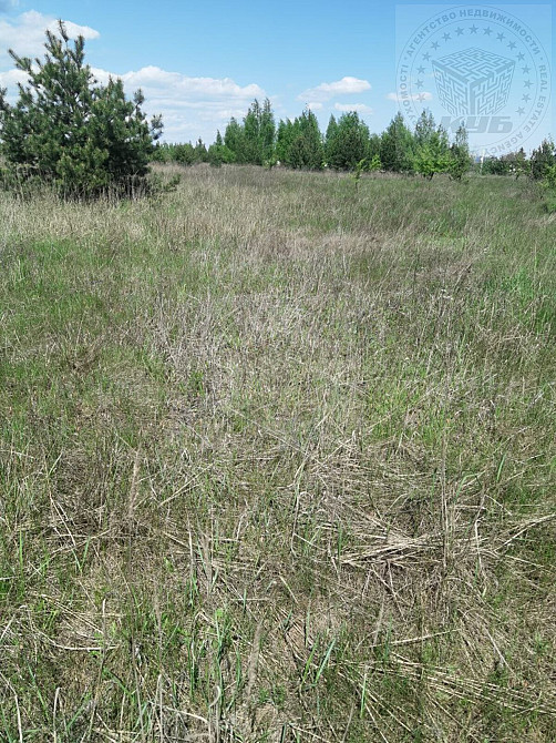 Продаж земельної ділянки 9 соток на Космічна вул., 4 Blystavytsia - photo 3