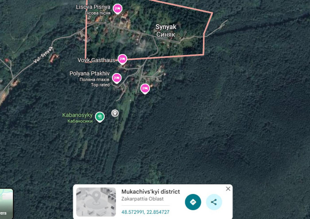 Продаж земельної ділянки 30 соток Синяк - фото 1