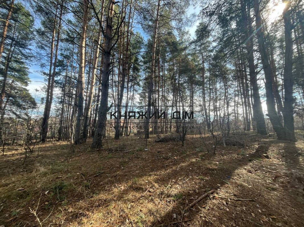 Продаж земельної ділянки 14 соток на вул. Котляревського Hlevakha - photo 7