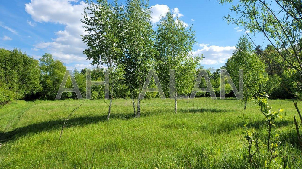 Продаж земельної ділянки 43.15 соток на вул. Лісна Таценки - фото 3