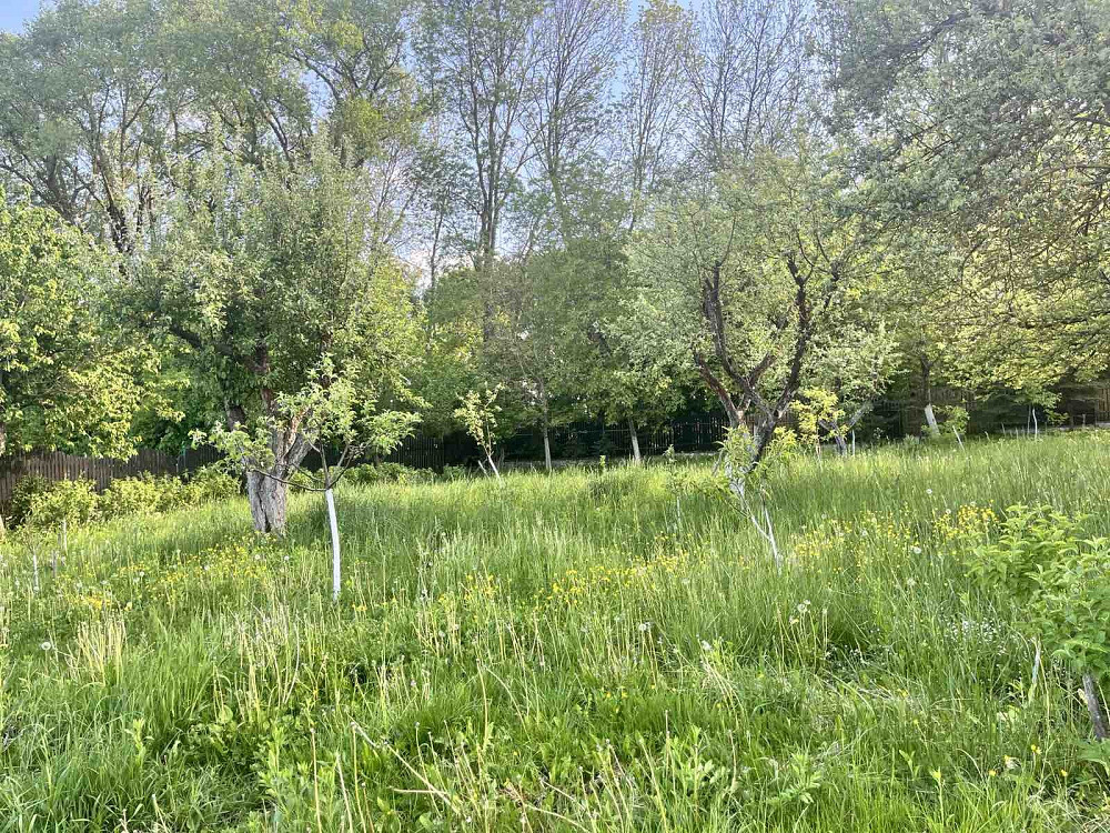 Без комісії!!!Продається будинок з власним озерцем поблизу Тернополя  - фото 15