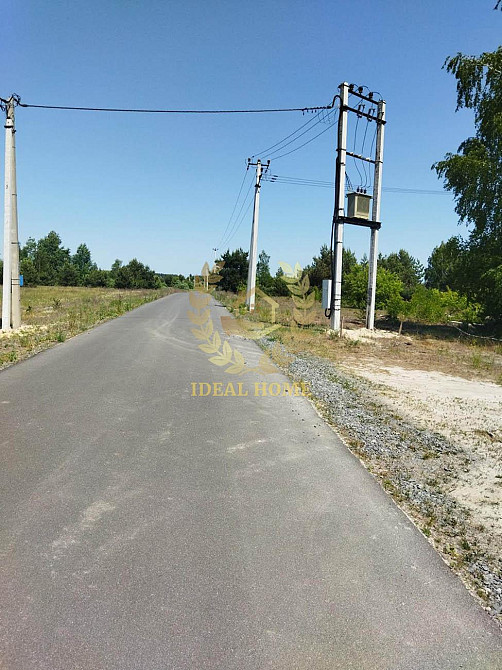 Продаж земельної ділянки 24.99 соток  - фото 9