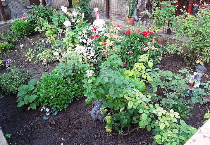 Продаж Будинок 5-кімнатний на ул. Маршрутная (ул. Чкалова), 20 Velyka Balka - photo 8