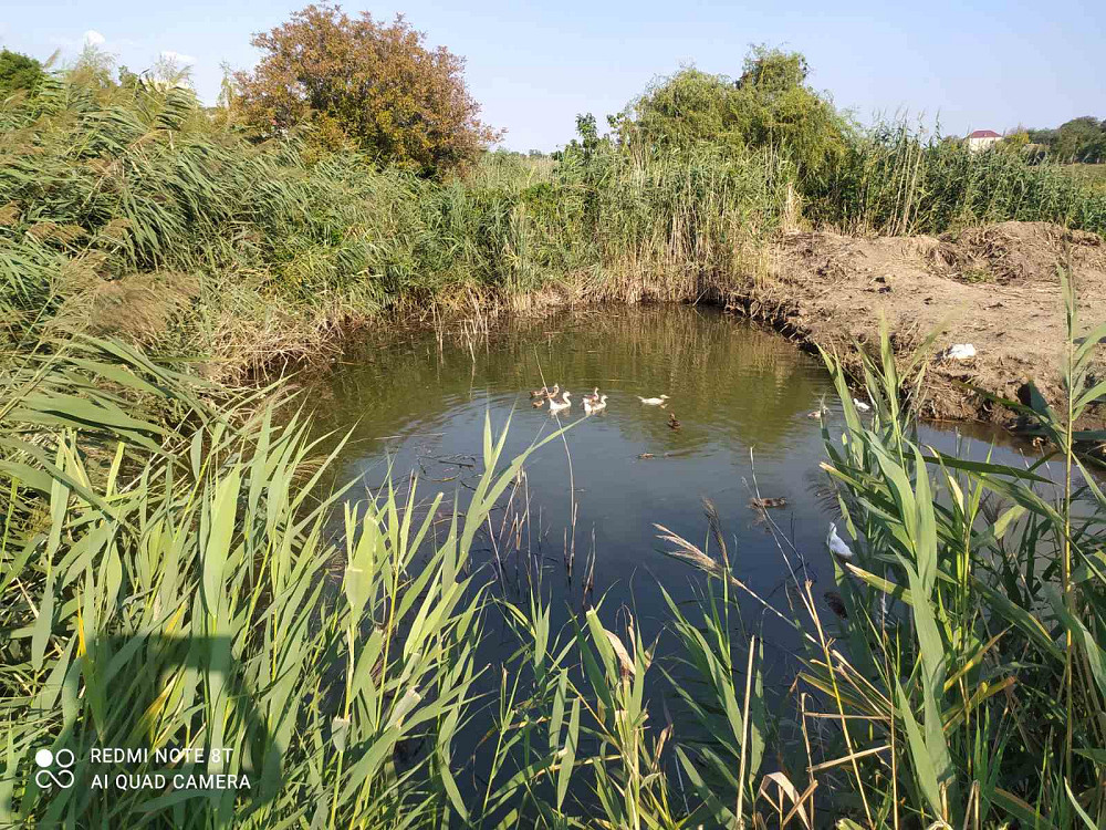 Предлагается к продаже частный дом с готовым бизнесом (действующим фермерским хозяйством) Нерубайське - фото 19