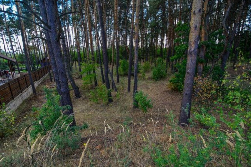 Продаж земельної ділянки 30 соток на котеджный городок  - фото 6