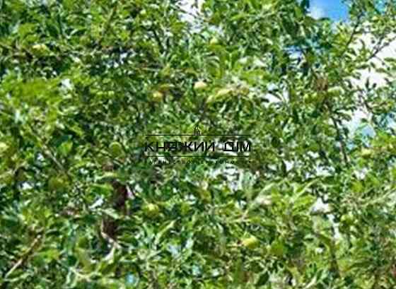 Продаж земельної ділянки 33 соток на Правды просп. Kiev