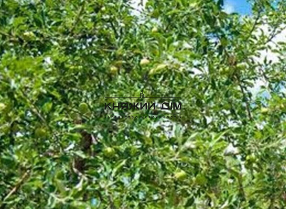 Продаж земельної ділянки 33 соток на Правды просп. Kiev - photo 3