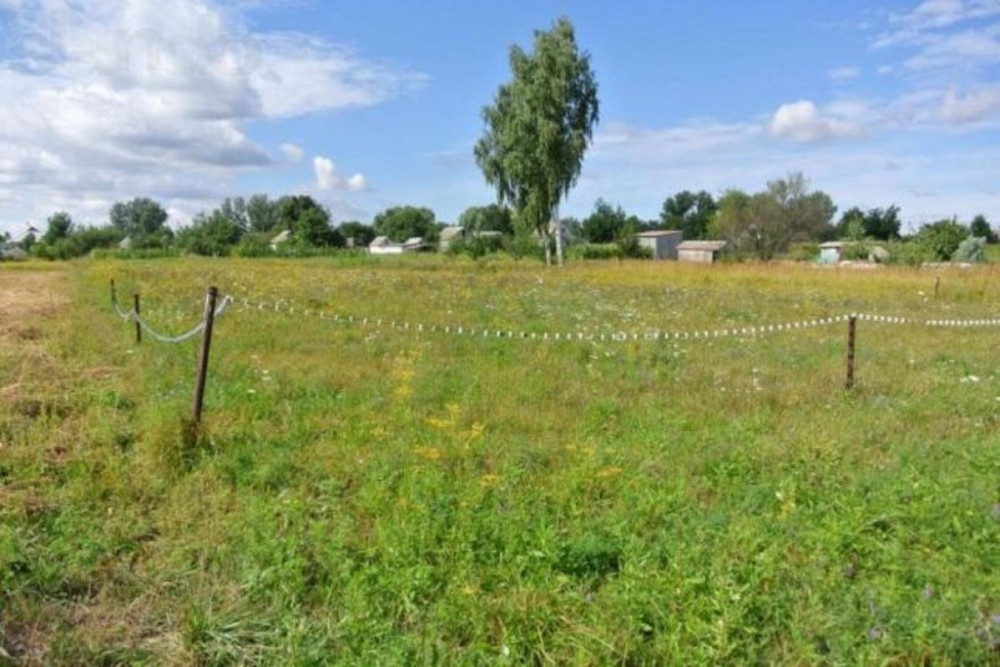 Продаж земельної ділянки 20 соток Лебедин - фото 1