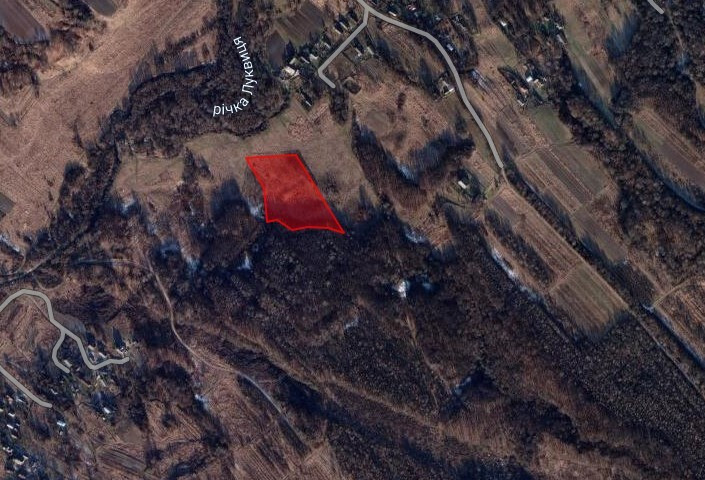 Продаж земельної ділянки 1 га на Урочище Біля Шевадуцької Наталії Viktoriv - photo 4