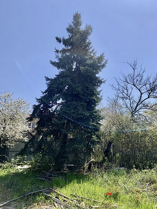 Продаж земельної ділянки 4 соток на Марии Демченко ул. Одесса - изображение 5