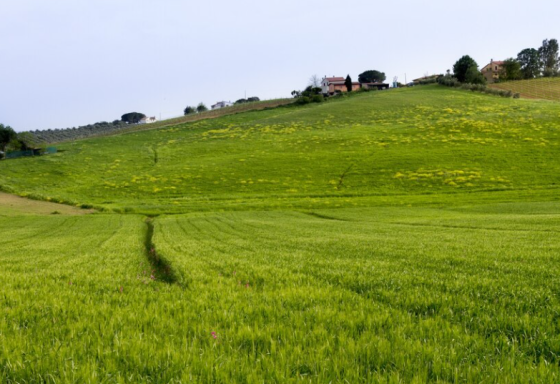 Продам дом с. Новоконстантиновка . Новокостянтинівка