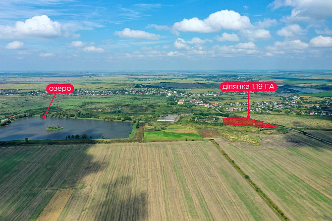 Продаж с/г земельної ділянки Шоломинь - фото 5