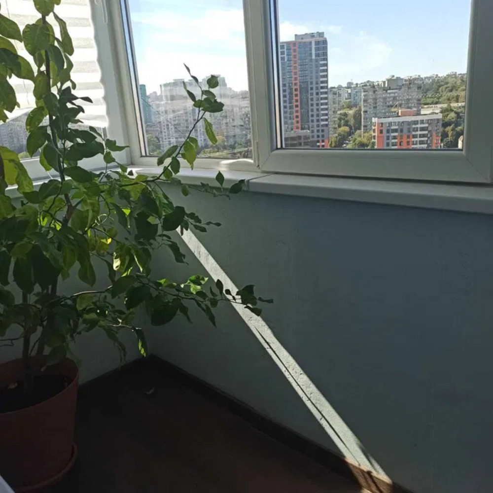 Оренда Квартира 1-кімнатна, 16/16 поверх на Бережанська, 14 Київ - фото 10