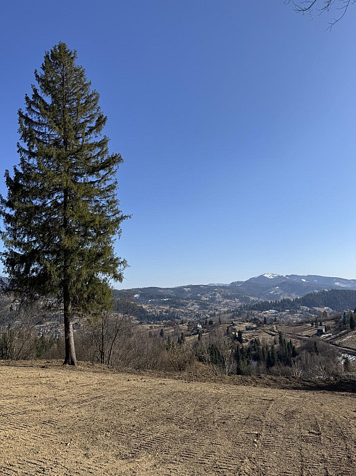 Продаж земельної ділянки 1.25 га Slavske - photo 1