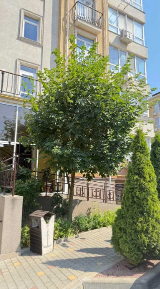 Продам квартиру в ЖК "Якоря" на цокольном этаже (ул.Бочарова) Lisky (Kominternivskyi raion) - photo 2