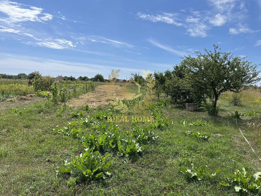 Продам будинок Плесецьке Фастівський район  - фото 19